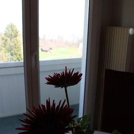 Seeblick Hotel